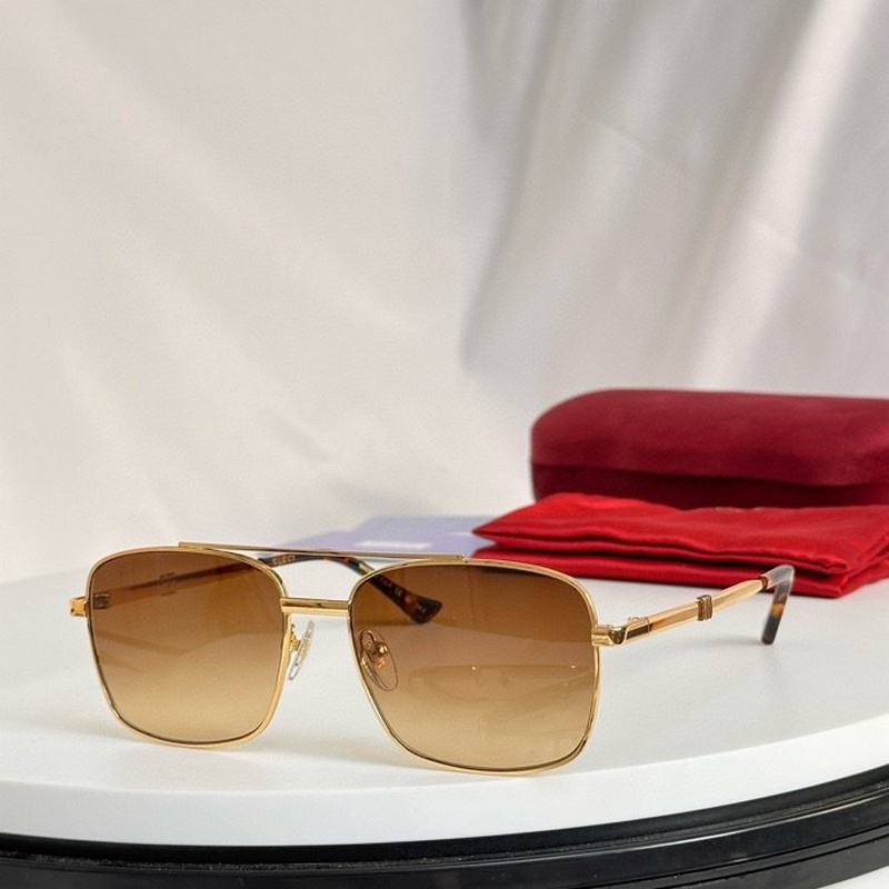 Gucci Sunglasses 170